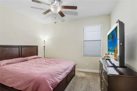19444 Paddock View Drive Tampa FL 33647
