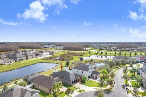 19444 Paddock View Drive Tampa FL 33647