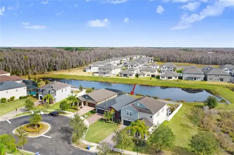 19444 Paddock View Drive Tampa FL 33647