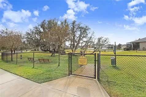 19444 Paddock View Drive Tampa FL 33647