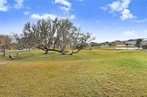 19444 Paddock View Drive Tampa FL 33647