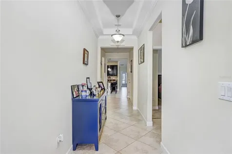 19444 Paddock View Drive Tampa FL 33647