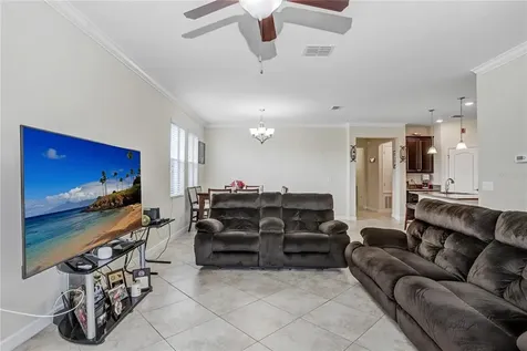 19444 Paddock View Drive Tampa FL 33647