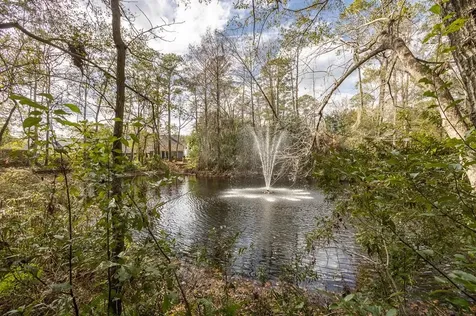5318 NW 9th Lane Gainesville FL 32605