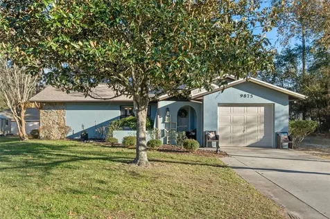 9875 N Cortlandt Drive Citrus Springs FL 34434