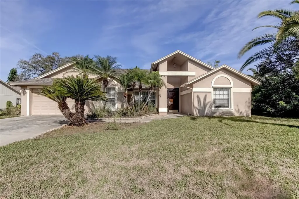 2723 Buckhorn Oaks Drive Valrico FL 33594