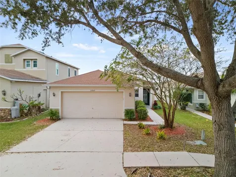 11049 Golden Silence Drive Riverview FL 33579