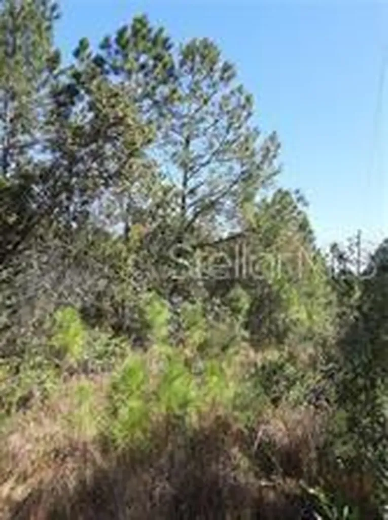 Salyers Road Clermont FL 34714