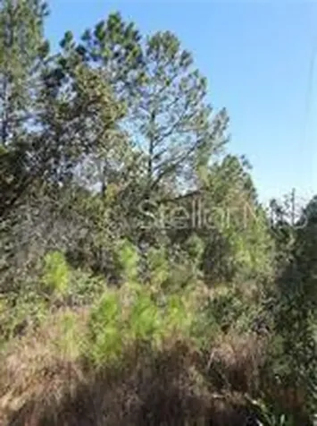 Salyers Road Clermont FL 34714
