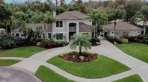 4148 Arlington Drive Palm Harbor FL 34685