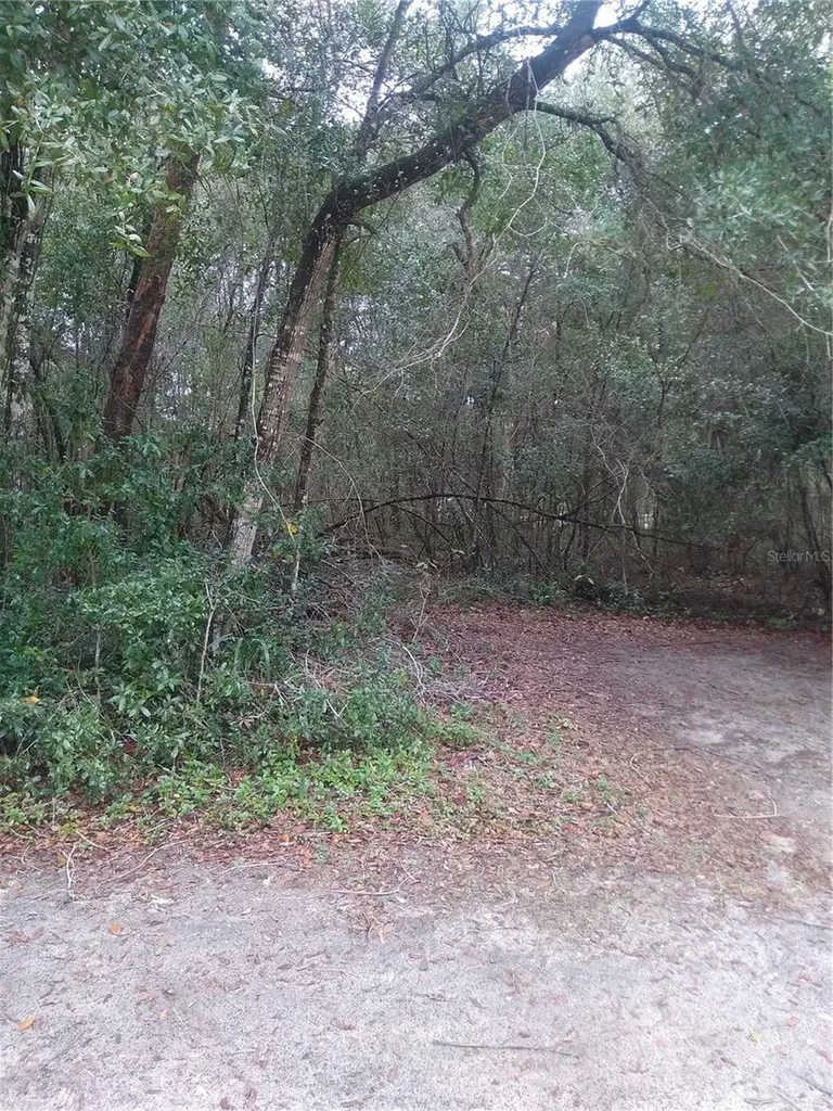 00 NE 147th Court Silver Springs FL 34488