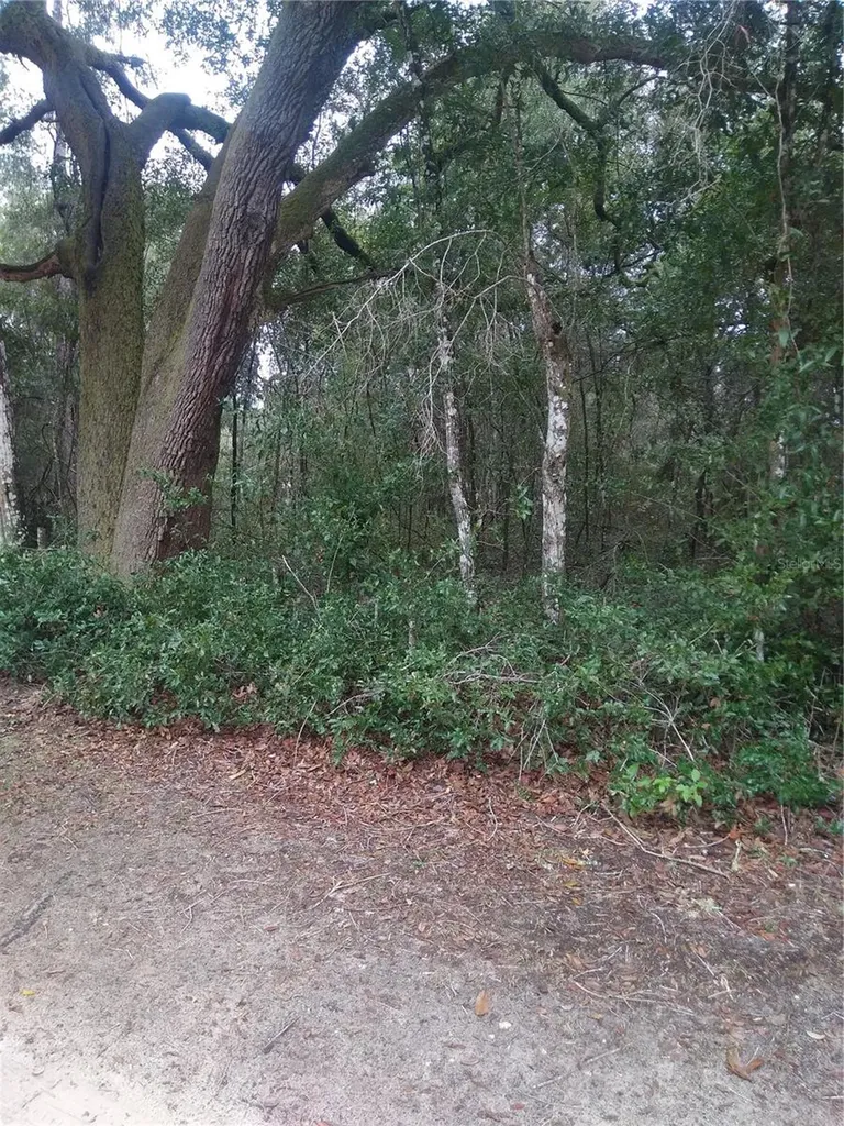 00 NE 147th Court Silver Springs FL 34488
