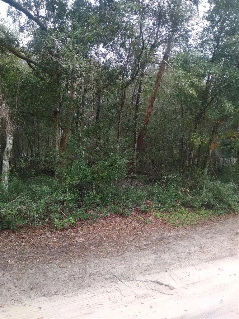 00 NE 147th Court Silver Springs FL 34488