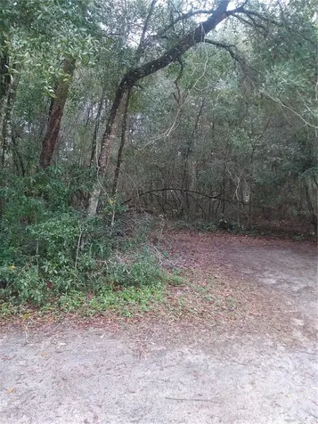 00 NE 147th Court Silver Springs FL 34488