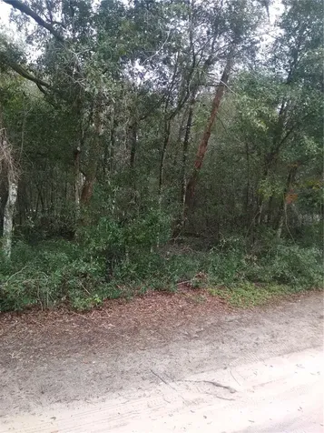 00 NE 147th Court Silver Springs FL 34488