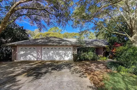 3363 Pattie Place Palm Harbor FL 34685