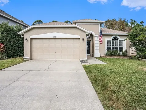 12523 Sparkleberry Road Tampa FL 33626