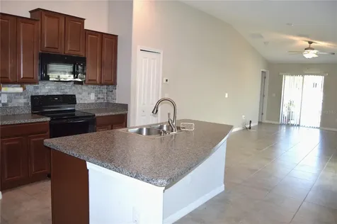 10227 Boggy Moss Drive Riverview FL 33578