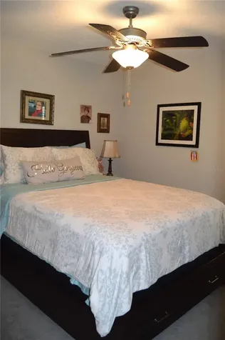 10227 Boggy Moss Drive Riverview FL 33578