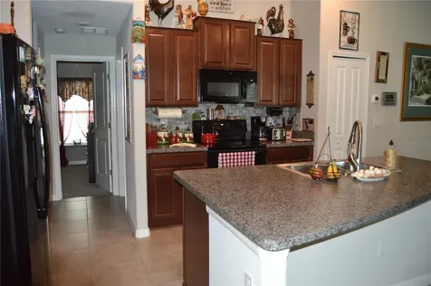 10227 Boggy Moss Drive Riverview FL 33578