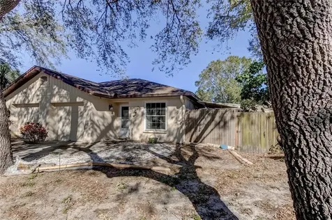 3615 Cabana Court Palm Harbor FL 34684