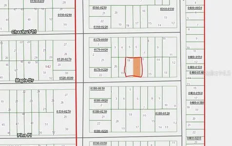 00 Maple Drive Interlachen FL 32148