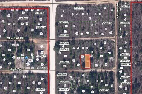 00 Maple Drive Interlachen FL 32148