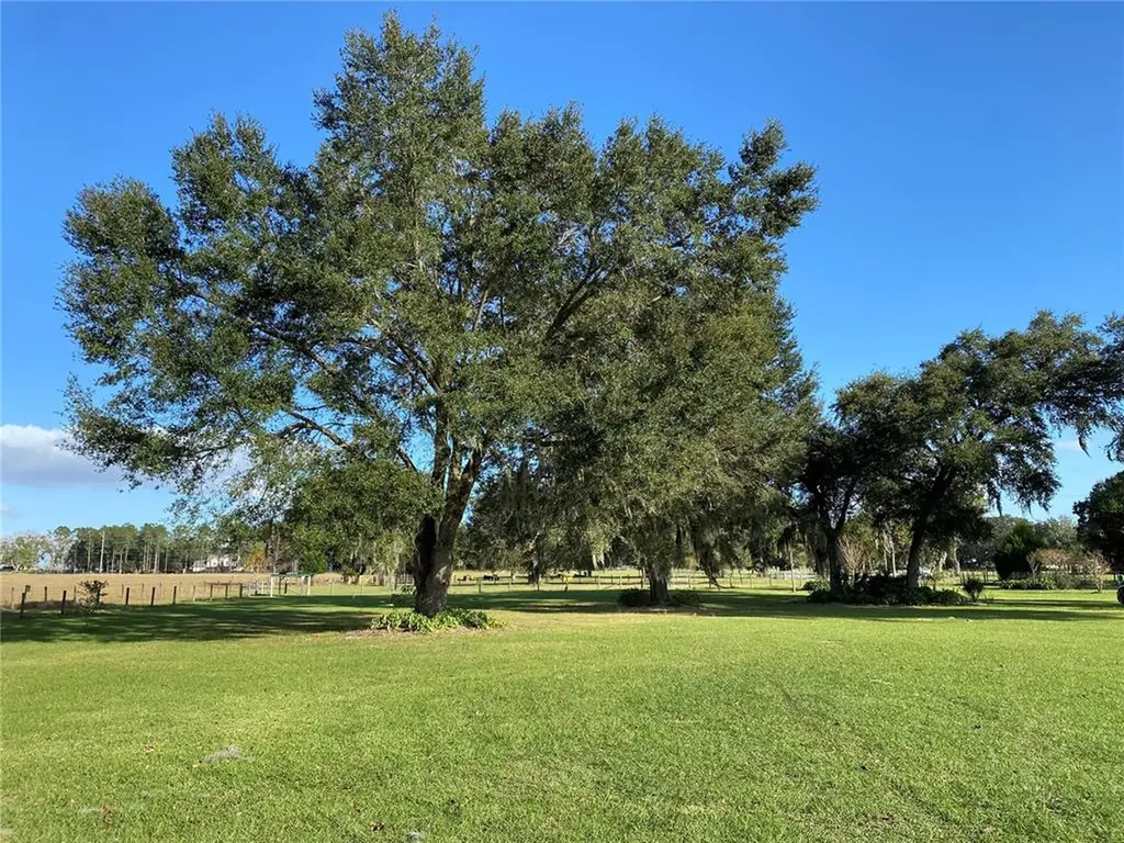 10312 County Road 209 Oxford FL 34484