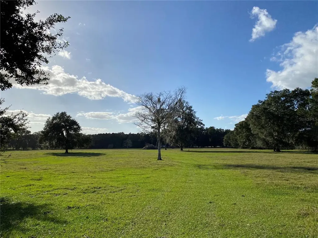 10312 County Road 209 Oxford FL 34484
