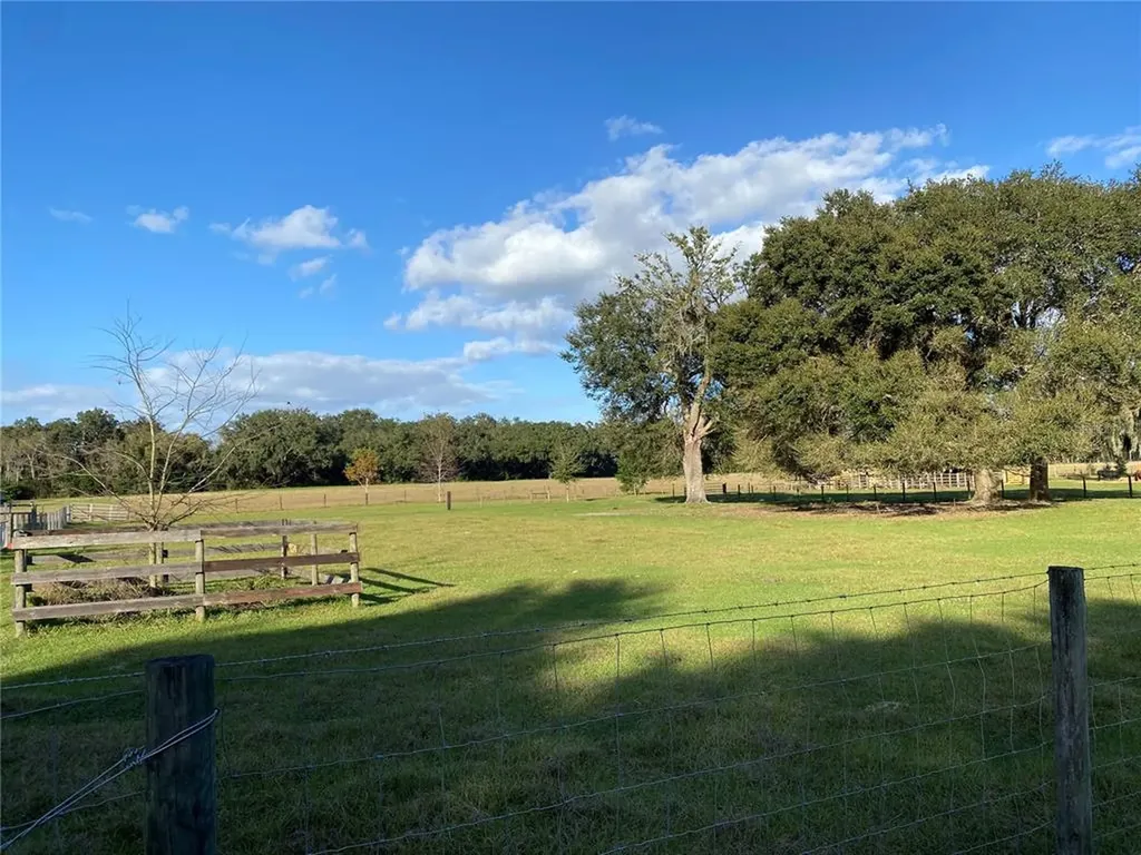 10312 County Road 209 Oxford FL 34484