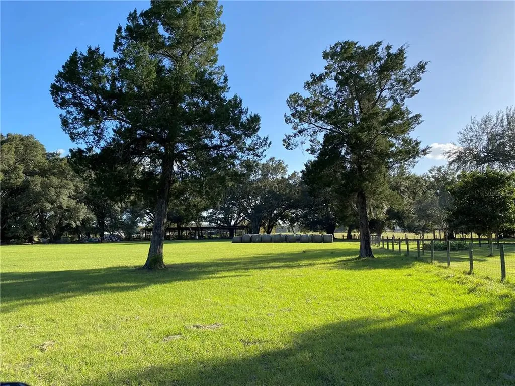 10312 County Road 209 Oxford FL 34484