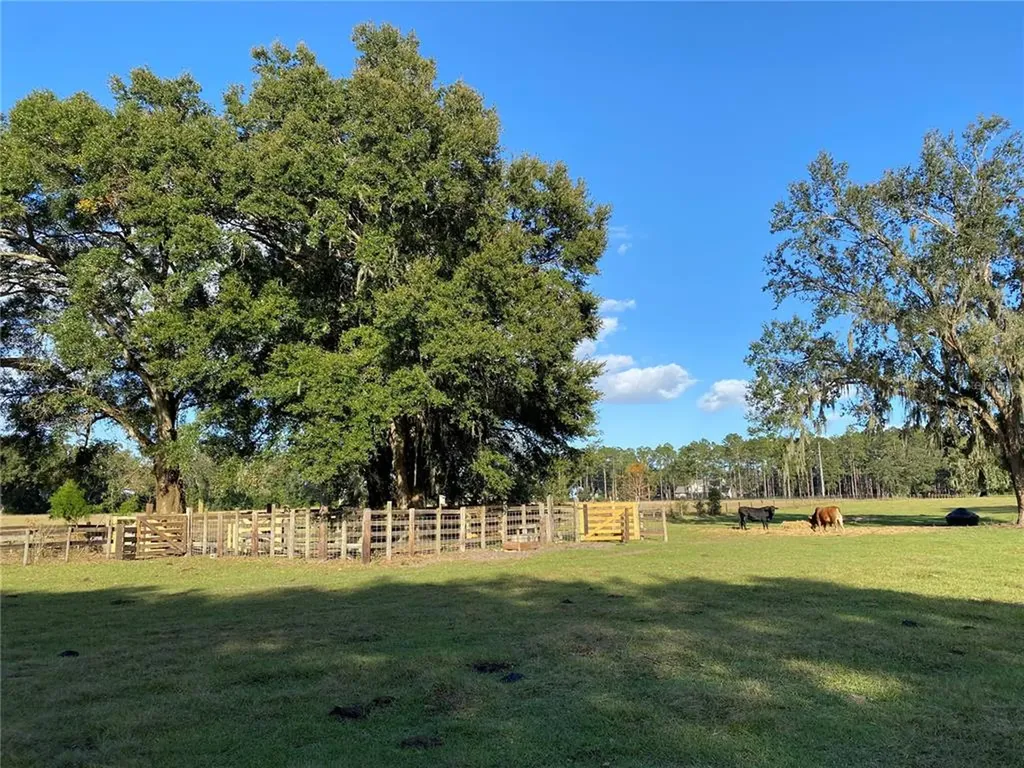 10312 County Road 209 Oxford FL 34484