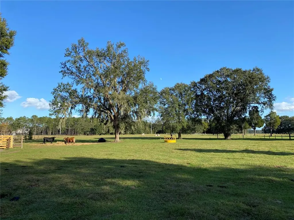 10312 County Road 209 Oxford FL 34484