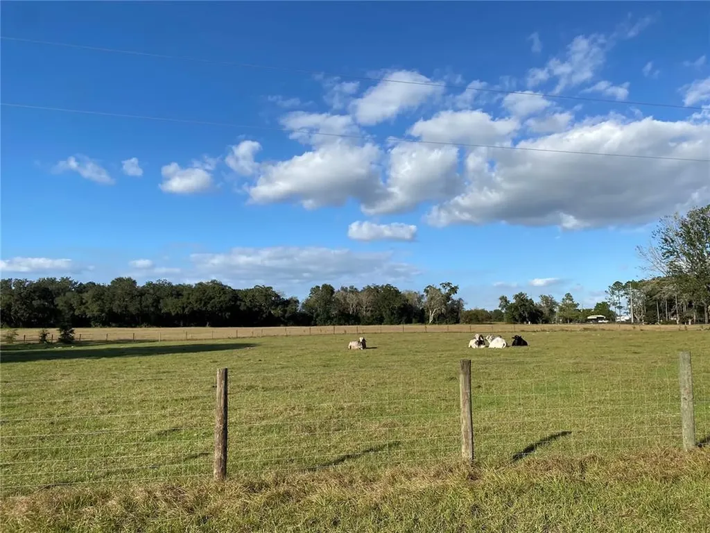 10312 County Road 209 Oxford FL 34484