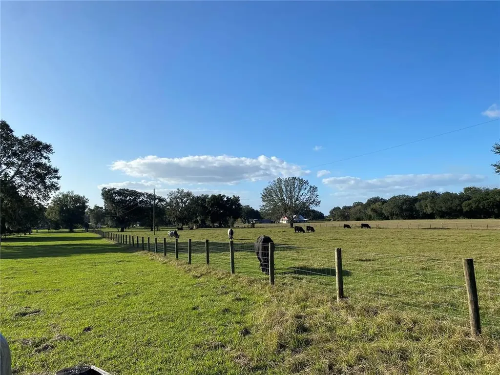 10312 County Road 209 Oxford FL 34484