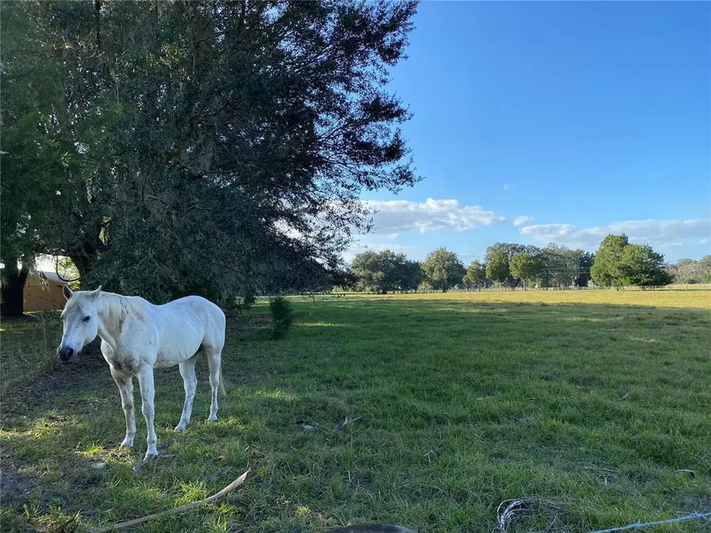 10312 County Road 209 Oxford FL 34484