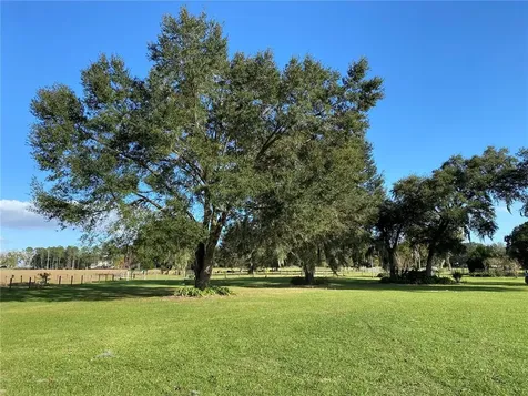 10312 County Road 209 Oxford FL 34484
