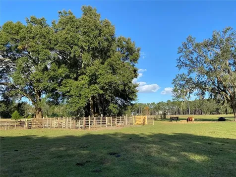 10312 County Road 209 Oxford FL 34484