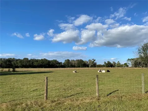 10312 County Road 209 Oxford FL 34484