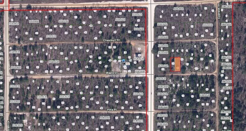 00 Maple Drive Interlachen FL 32148
