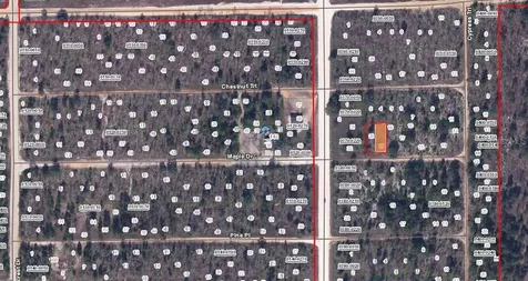 00 Maple Drive Interlachen FL 32148