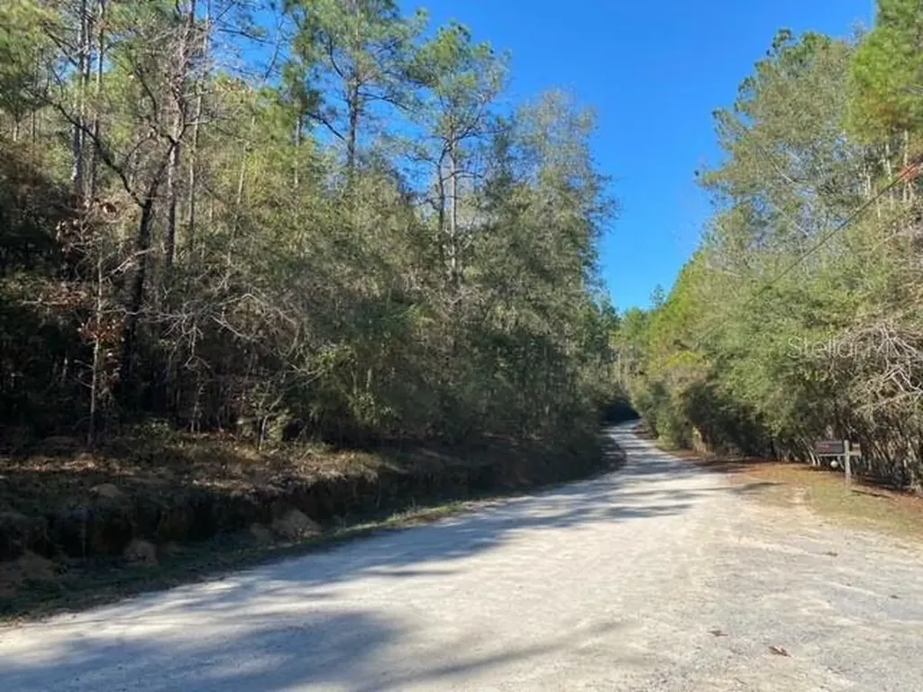 Lot 49 Defuniak Springs FL 32433