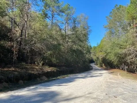 Lot 49 Defuniak Springs FL 32433