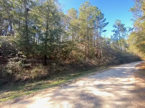 Lot 49 Defuniak Springs FL 32433