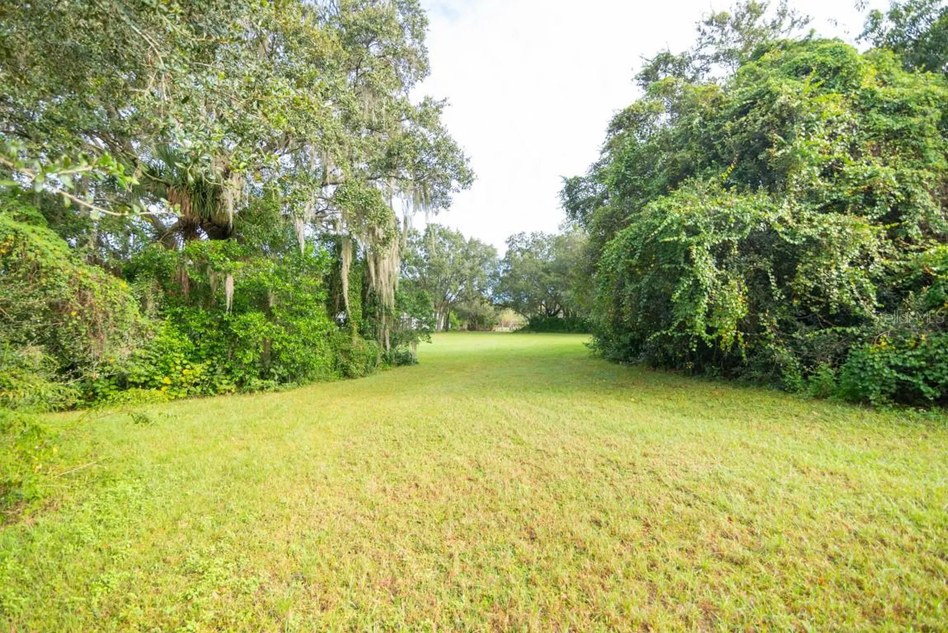 9358 Harney Road Thonotosassa FL 33592
