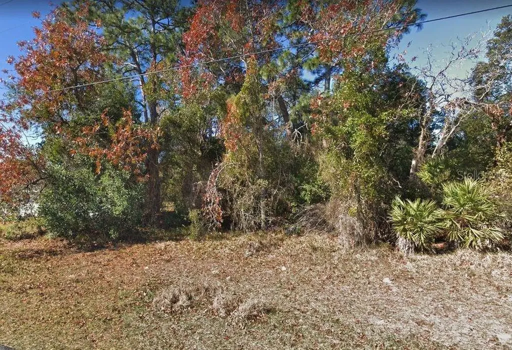 5045 Keysville Avenue Spring Hill FL 34608