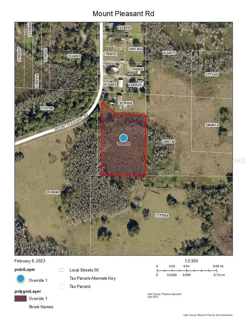 Mount Pleasant Road Groveland FL 34736
