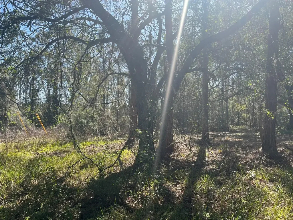 Mount Pleasant Road Groveland FL 34736