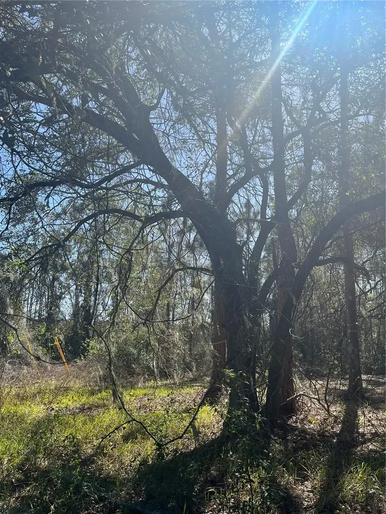 Mount Pleasant Road Groveland FL 34736
