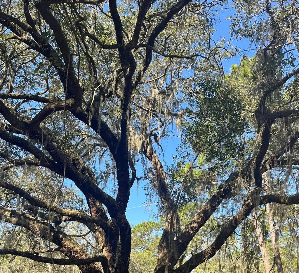 Mount Pleasant Road Groveland FL 34736
